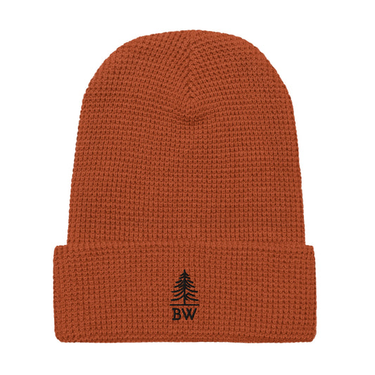 BW 'Boundary Waters' Waffle Beanie